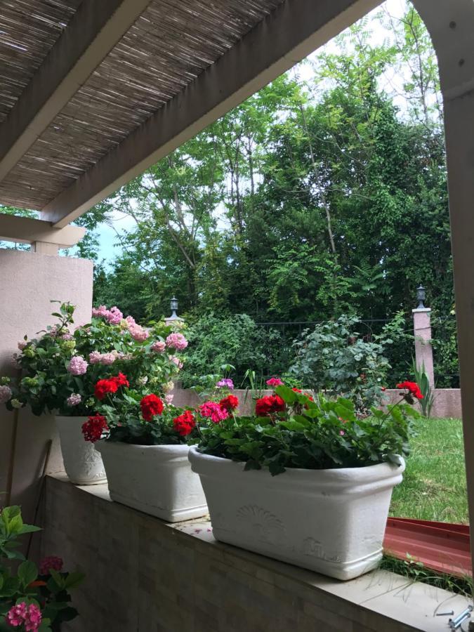 Villa Alla Bed And Breakfast Herceg Novi Kültér fotó