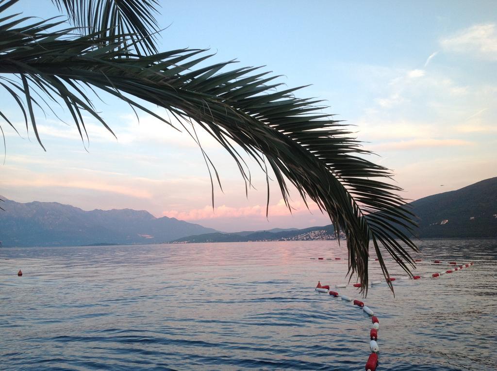 Villa Alla Bed And Breakfast Herceg Novi Kültér fotó